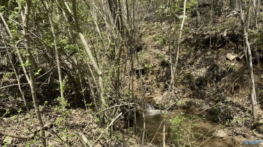 lot 2 County Road 223, Collinsville, AL 35961 - #2