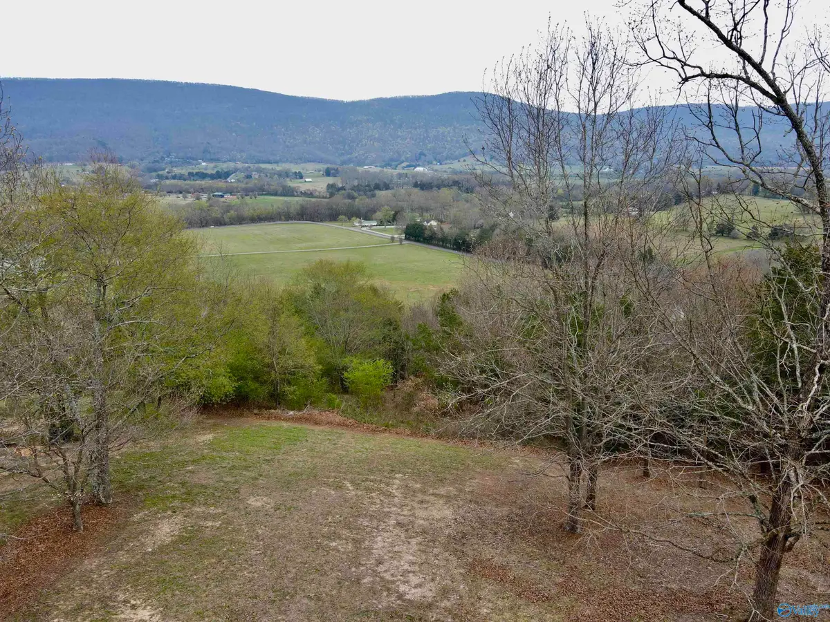 20 Skyhigh Drive, Dunlap, TN 37327 - #1