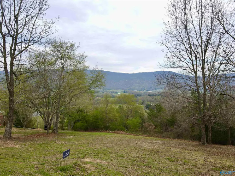 20 Skyhigh Drive, Dunlap, TN 37327 - #3
