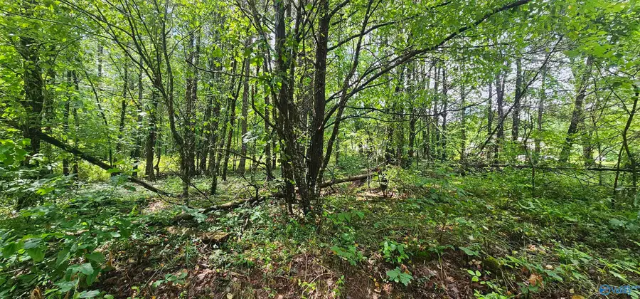 #3