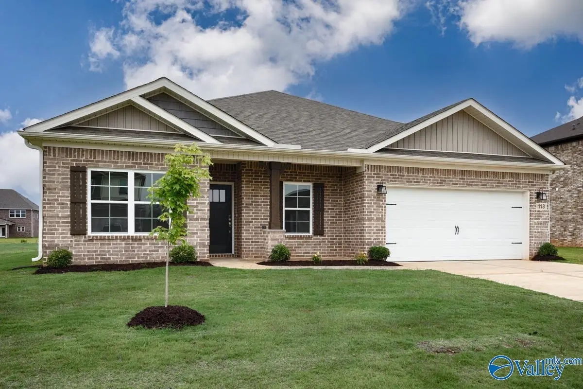 113 Old Dirt Road, Meridianville, AL 35759 - Image #1