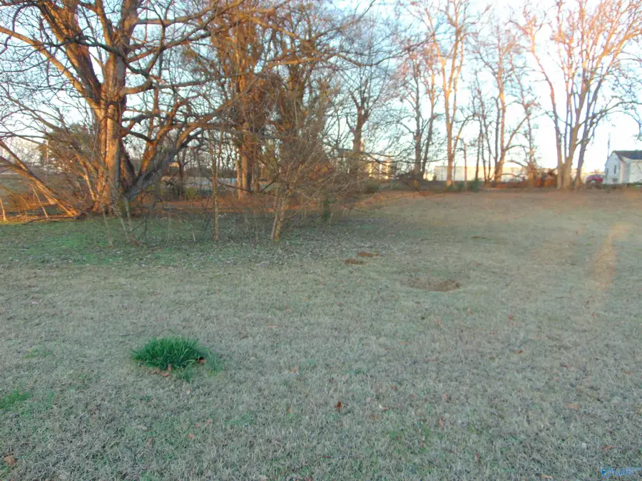 118 Church Street, Decatur, AL 35601 - #2