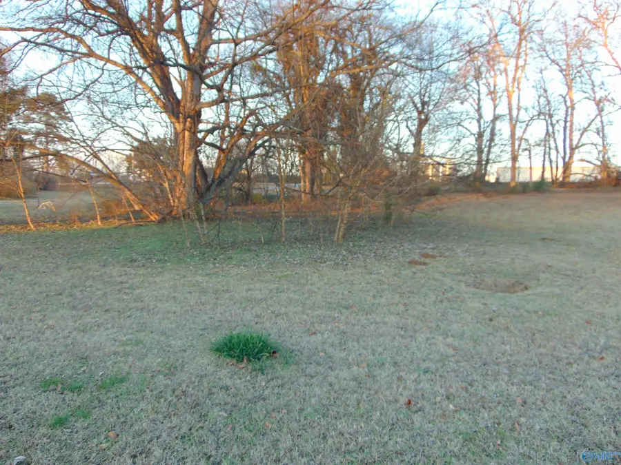 118 Church Street, Decatur, AL 35601 - #3