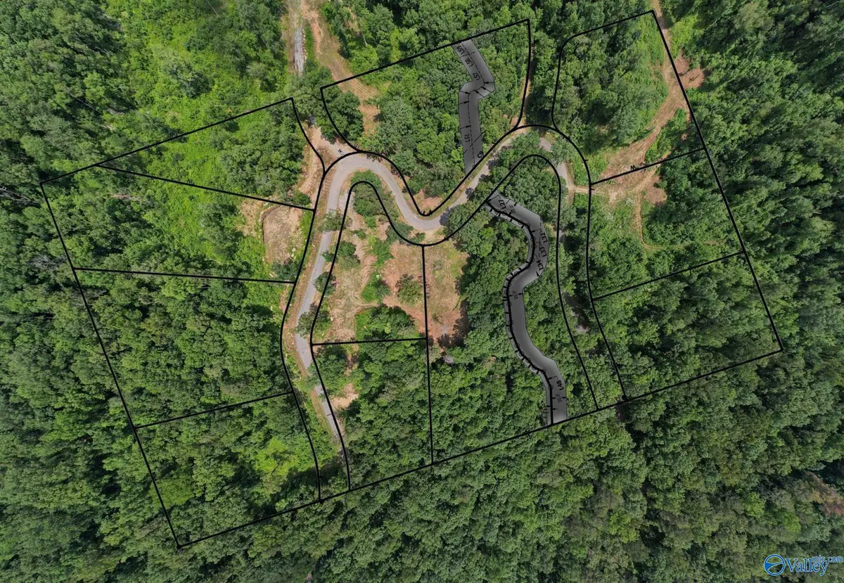 Lot 12 Wyeth Drive, Guntersville, AL 35976 - Image #1