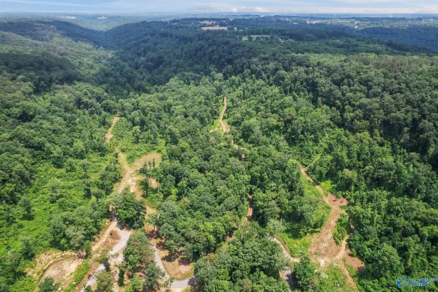 Lot 12 Wyeth Drive, Guntersville, AL 35976 - Image #3