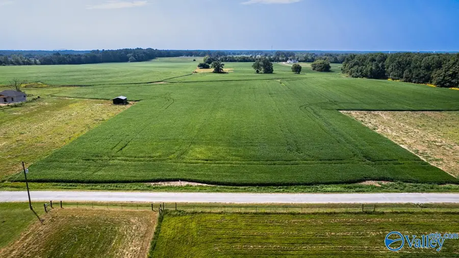 30acres Stevenson Road, Ardmore, TN 38449 - Image #3