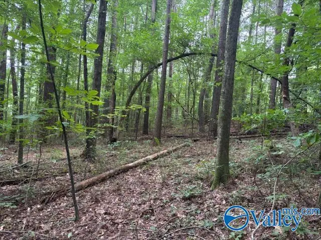 #2
