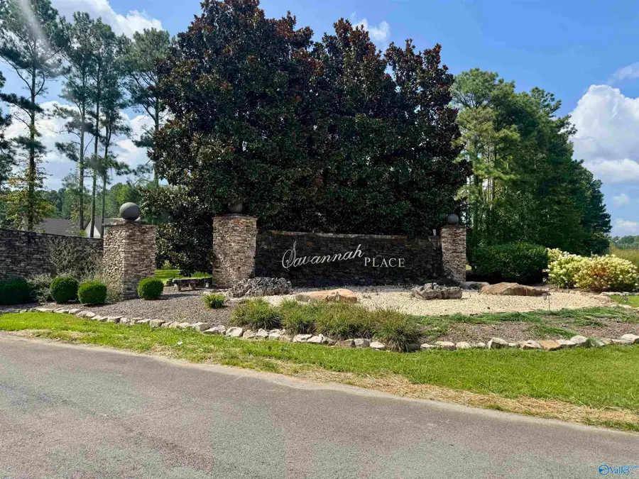 381 Worthington Lane, Guntersville, AL 35976 - #2