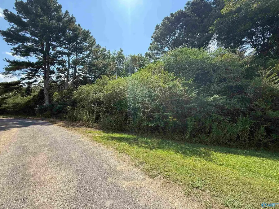 1AC County Road 1038, Vinemont, AL 35179 - #2
