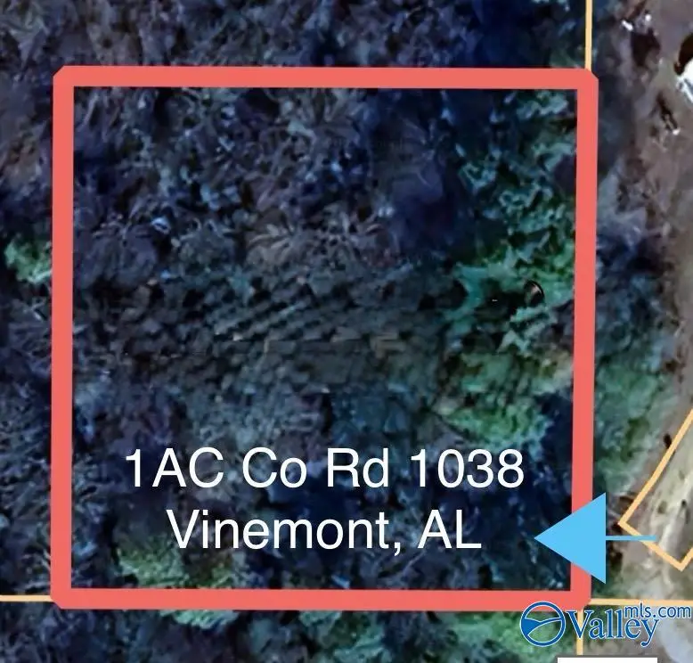 1AC County Road 1038, Vinemont, AL 35179 - #3