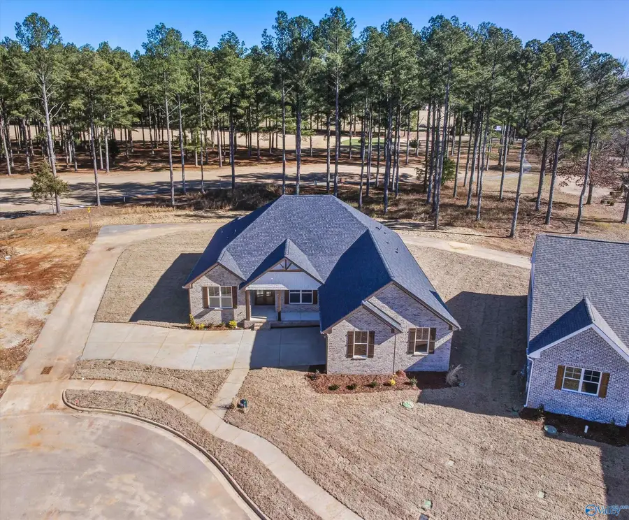 22052 Mulligan Parkway, Athens, AL 35613 - Image #3