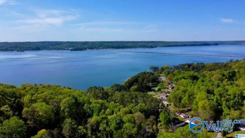 1505 Tracy Street, Guntersville, AL 35976 - Image #3