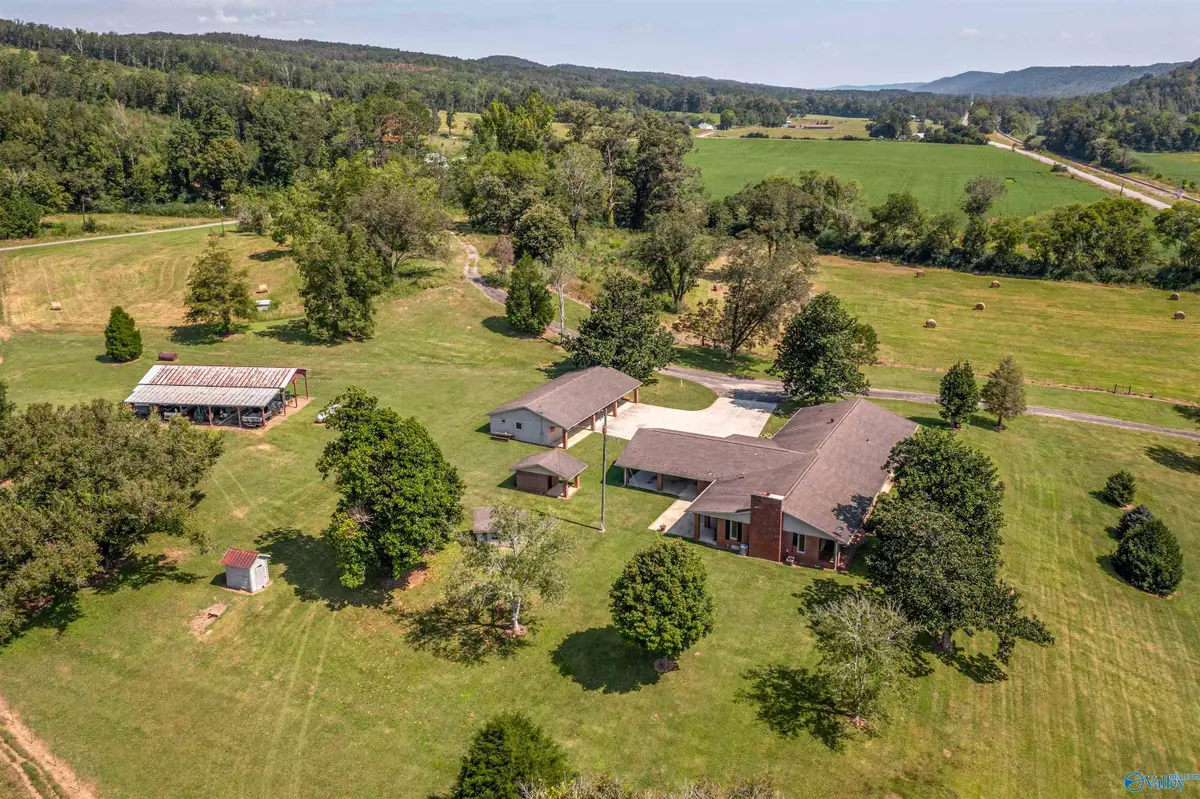 4294 Us Highway 11 N, Attalla, AL 35954 - #1