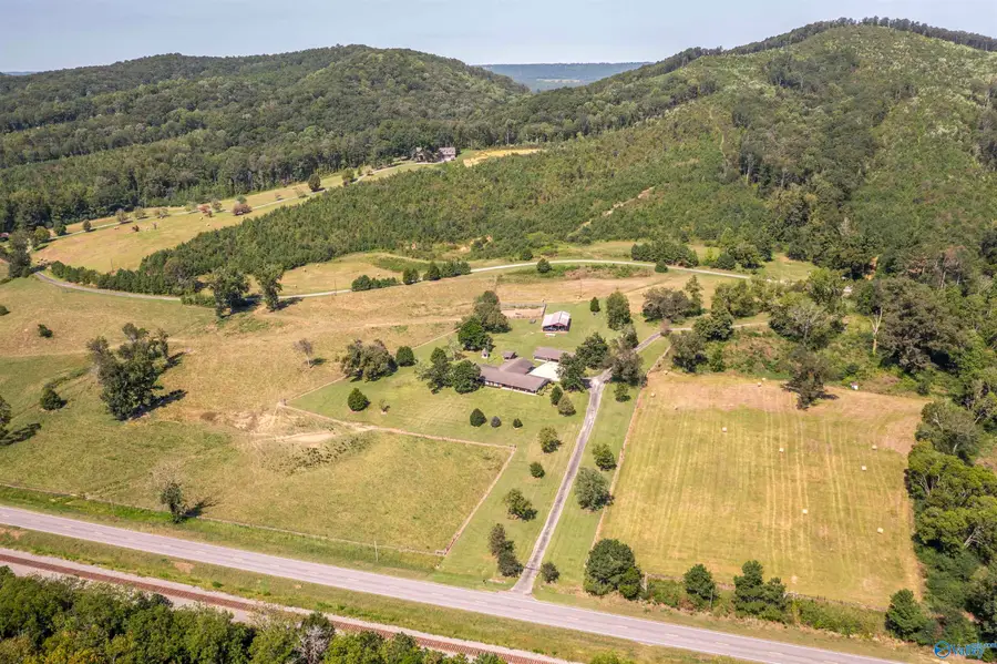 4294 Us Highway 11 N, Attalla, AL 35954 - #2