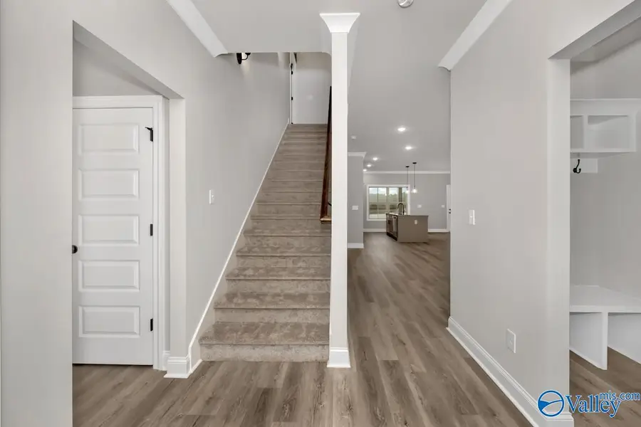 119 Alton Dale Drive, Toney, AL 35773 - #3