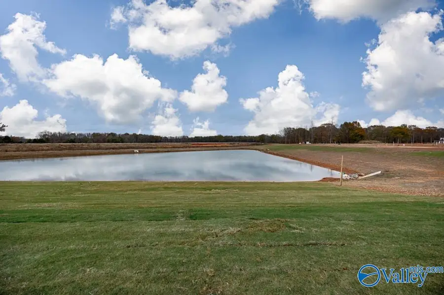 117 Alton Dale Drive, Toney, AL 35773 - Image #3