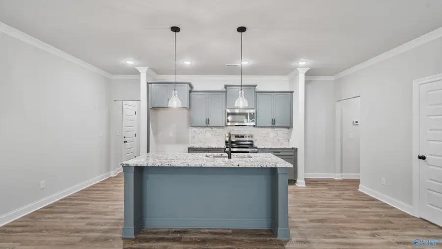 115 Alton Dale Drive, Toney, AL 35773 - #3