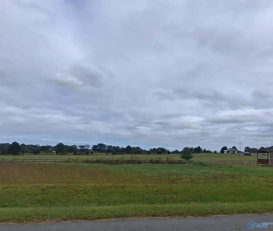 725 Cochran Avenue, Albertville, AL 35951 - Image #2