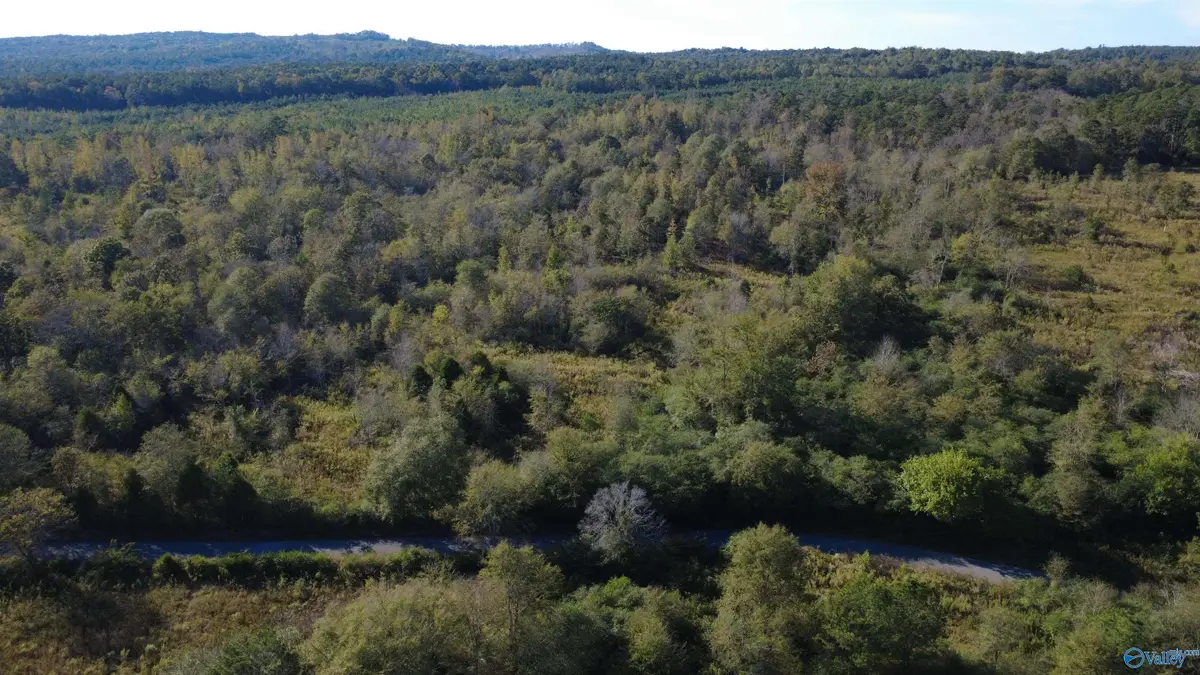 37 Acres-3124 County Road 6, Collinsville, AL 35961 - Image #1
