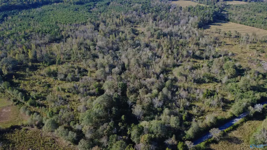 37 Acres-3124 County Road 6, Collinsville, AL 35961 - Image #2