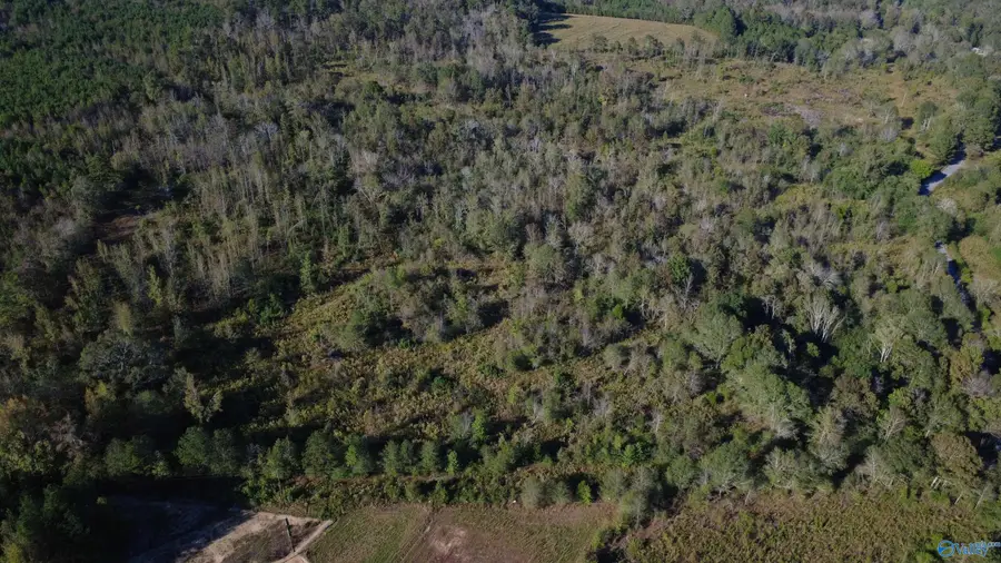 37 Acres-3124 County Road 6, Collinsville, AL 35961 - Image #3