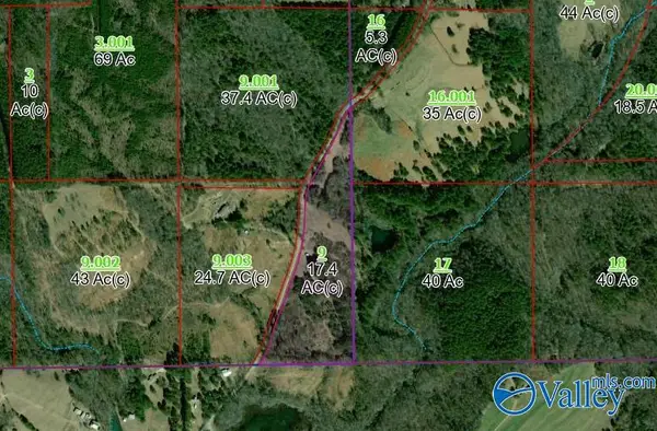 3124 County Road 6, Collinsville, AL 35961