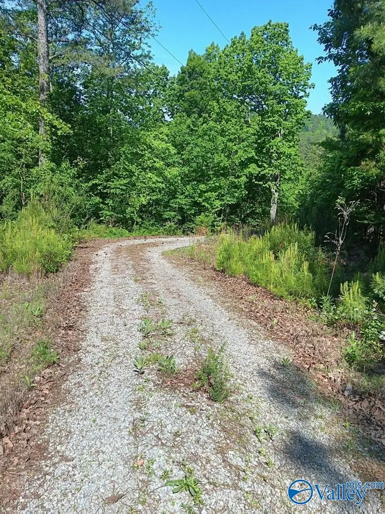 30 ACRES Norman Street, Attalla, AL 35954 - Image #1