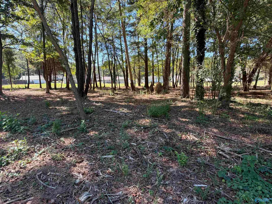 3114 Willow Beach Road, Guntersville, AL 35976 - Image #2