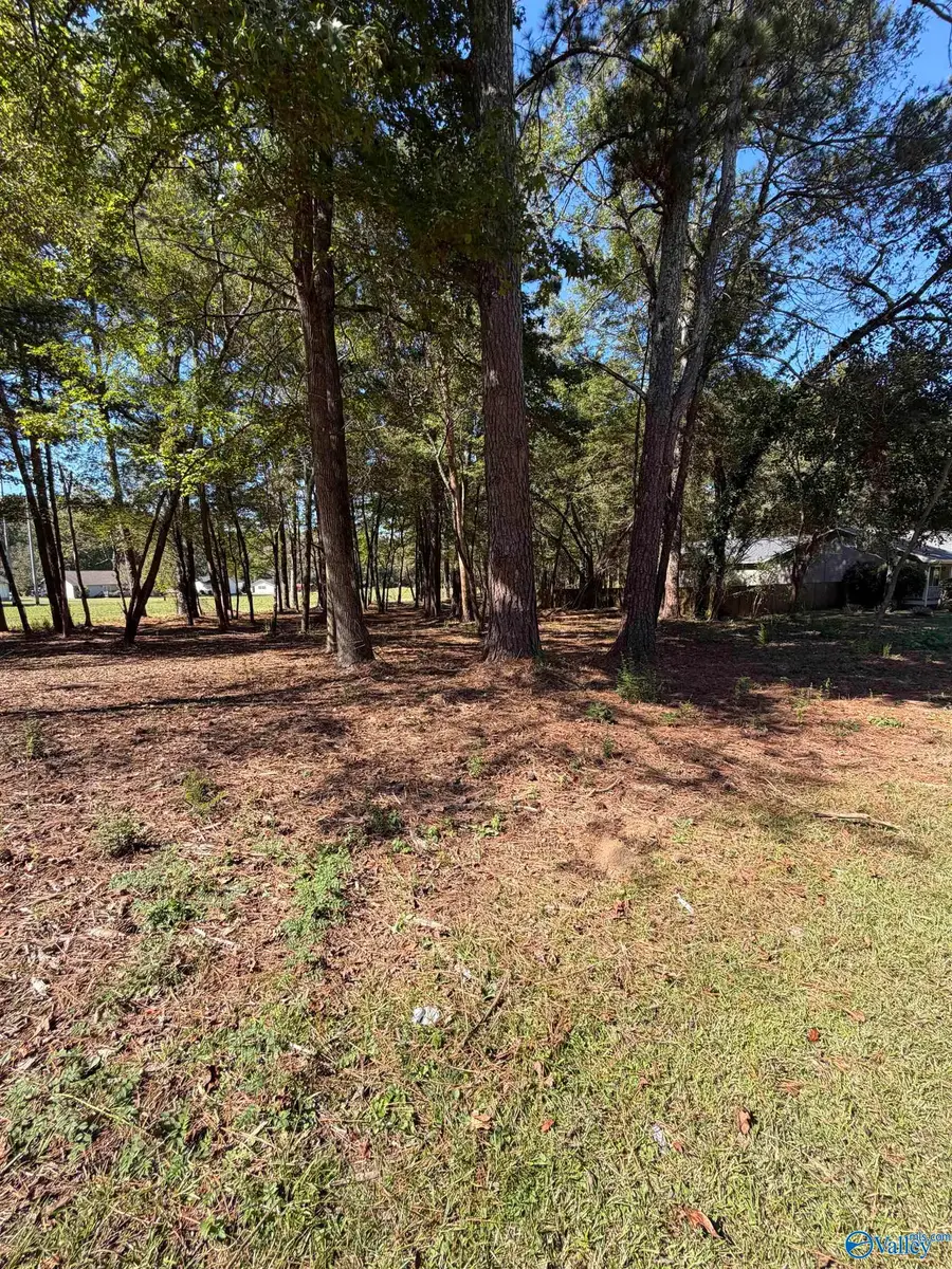 3114 Willow Beach Road, Guntersville, AL 35976 - Image #3
