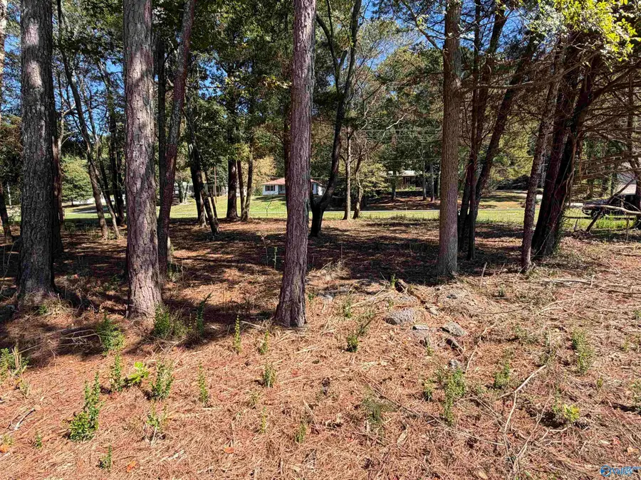 3118 Willow Beach Road, Guntersville, AL 35976 - Image #3