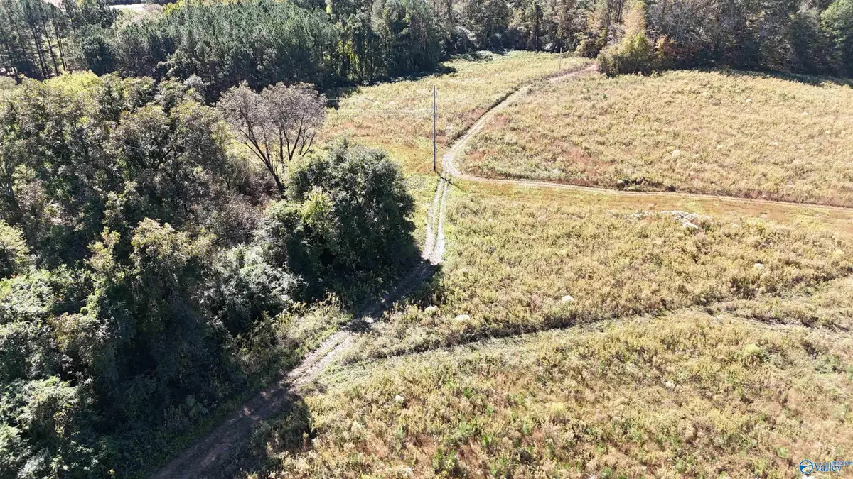 004 County Road 70, Sand Rock, AL 35961 - Image #1