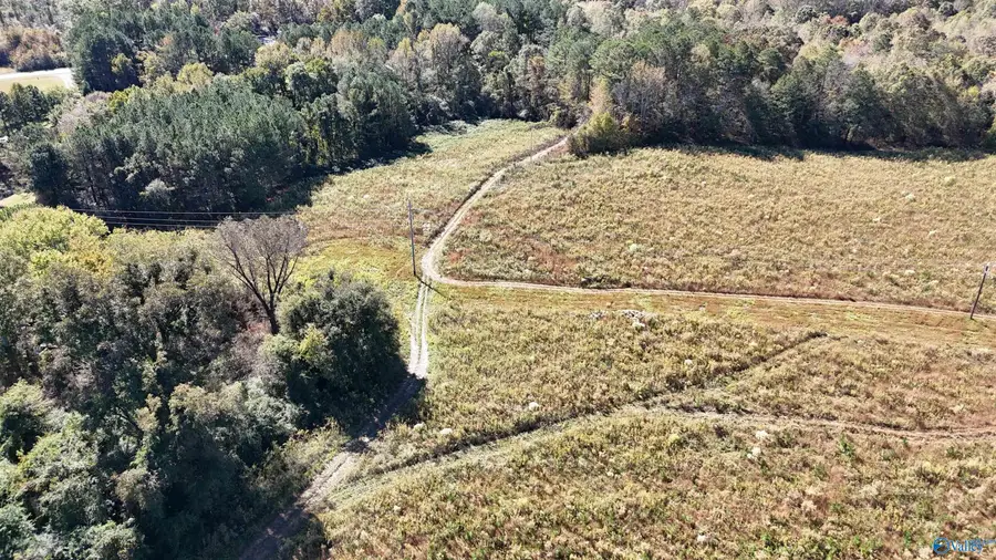 004 County Road 70, Sand Rock, AL 35961 - Image #2