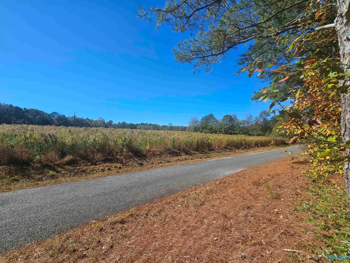 009 County Road 70, Sand Rock, AL 35984 - Image #1