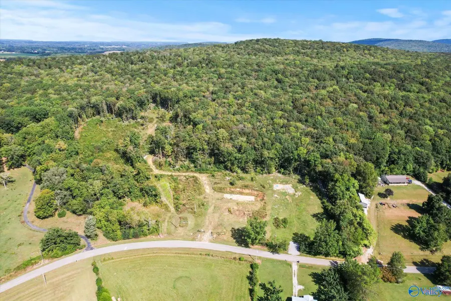 2282 Hurricane Road, New Market, AL 35761 - Image #2