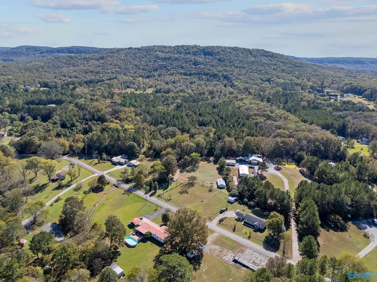 335 South Old Six Mile Road, Somerville, AL 35670 - Image #1