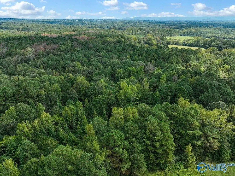 4664 Hwy 67, Somerville, AL 35670 - Image #2