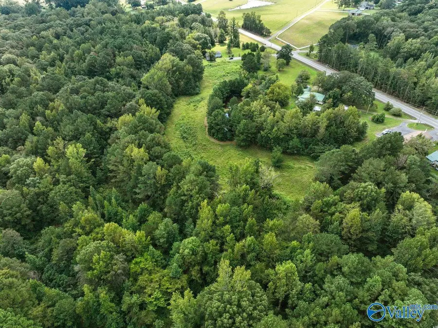 4664 Hwy 67, Somerville, AL 35670 - Image #3