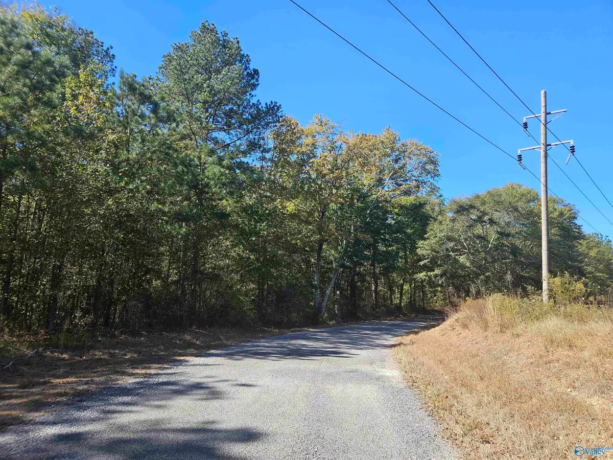 018 County Road 70, Sand Rock, AL 35984 - Image #1