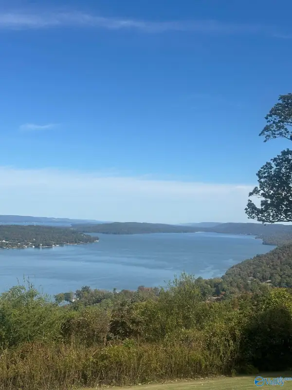 345 Panorama Way E, Guntersville, AL 35976