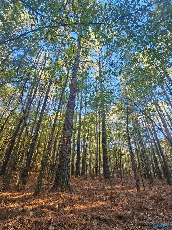 009 County Road 6, Piedmont, AL 36272