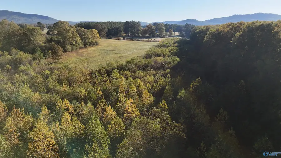 001 County Road 6, Piedmont, AL 36272 - Image #2