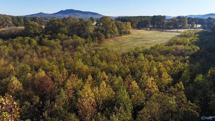 001 County Road 6, Piedmont, AL 36272 - Image #3