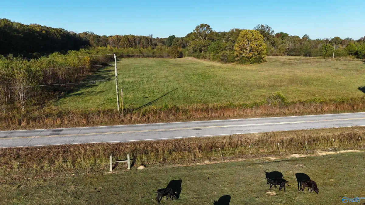 002 County Road 6, Piedmont, AL 36272 - Image #1