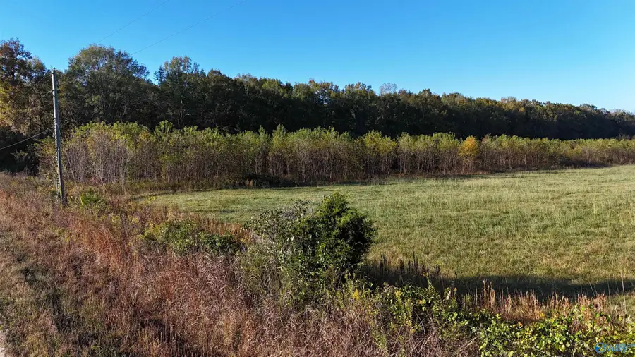 002 County Road 6, Piedmont, AL 36272 - Image #3