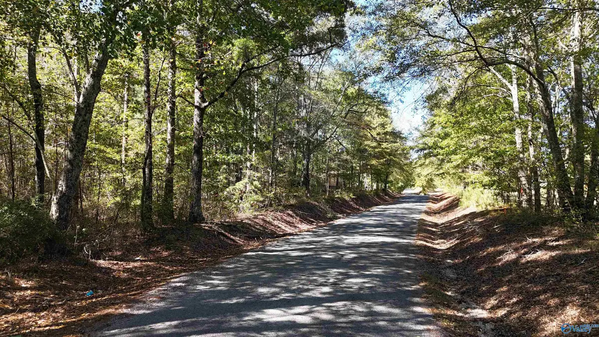 020 County Road 70, Sand Rock, AL 35984 - Image #1
