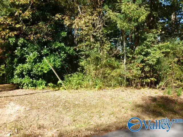 Lot 9 Cherrywood Drive, Guntersville, AL 35976 - Image #1