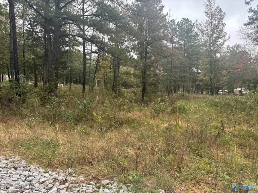 2.48 acres Ghost Hill Road, Trinity, AL 35673 - Image #2
