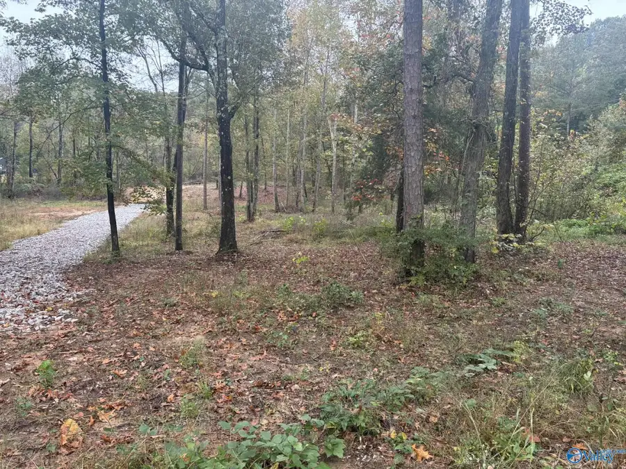 2.48 acres Ghost Hill Road, Trinity, AL 35673 - Image #3