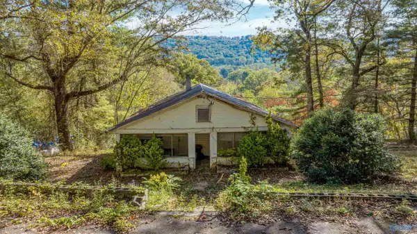 76 High Avenue, Valley Head, AL 35989