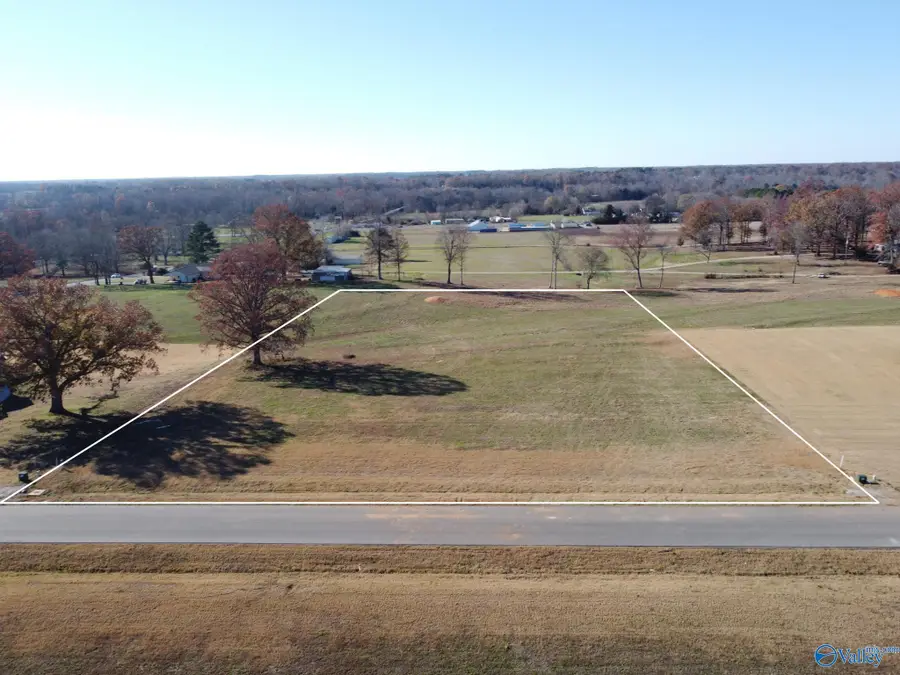 106 Sydney School Way, Hazel Green, AL 35750 - #2